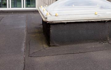 disadvantages of Llanigon flat roofs