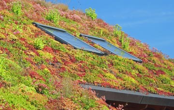Llanigon living roof systems